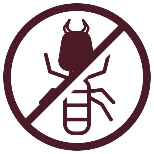 Termite Control service